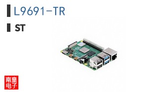 L9691-TR